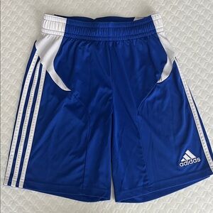 adidas Royal Blue Athletic Shorts with White Accents